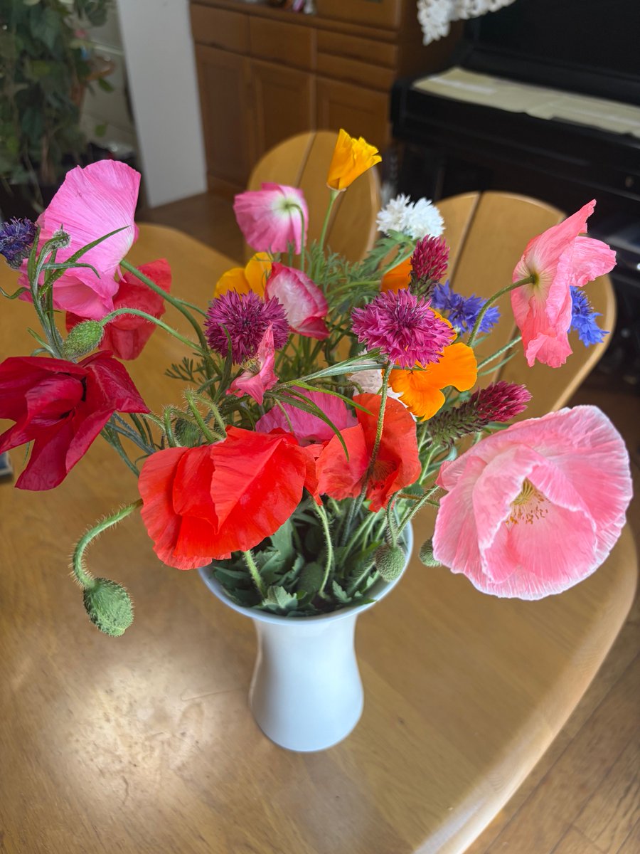 minakoala's tweet photo. 伊勢原のれんげ祭りに行ってきました！お花を摘み放題だと聞いていたので、我が家はハサミとレジ袋を持って行ったのですが、慣れている方は、バケツに牛乳パックをたくさん入れて、少しお水も入っていたのかな？お花が傷まない様にしていらっしゃいました。さすが👍次回はマネさせていただきますっ！！ https://t.co/lauF4bS8QC