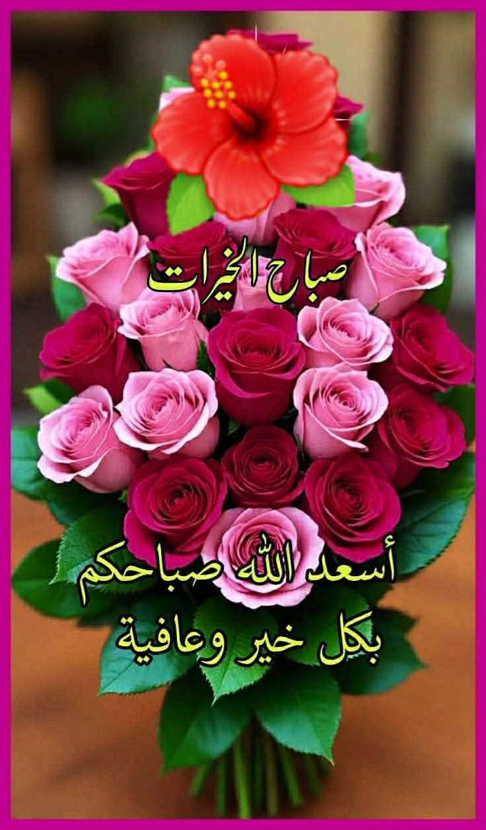 Osman Deif tweet media