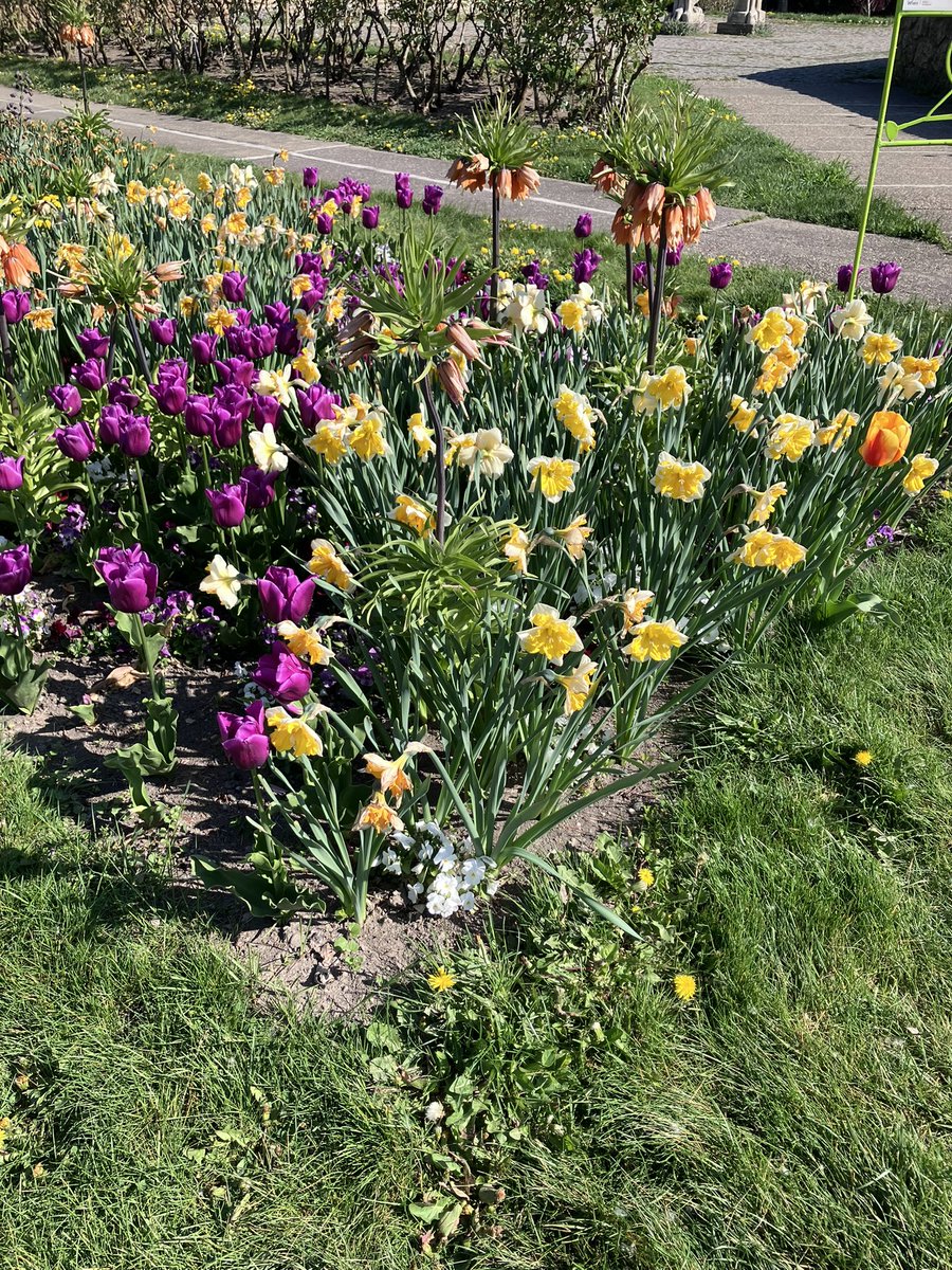 kaffee_jause's tweet image. 開場前に着いたので近くの公園散策。

2026.4.22
#austria #Wien #ウィーン #ピカチュウ