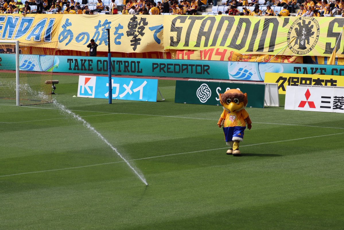 素人カメラマン tweet media