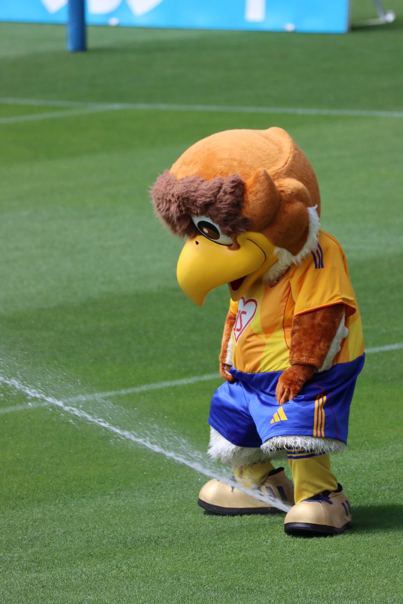 素人カメラマン tweet media