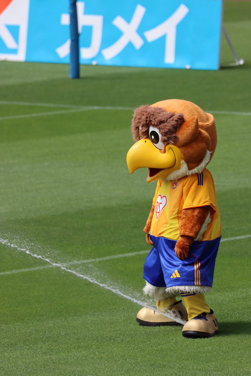 素人カメラマン tweet media