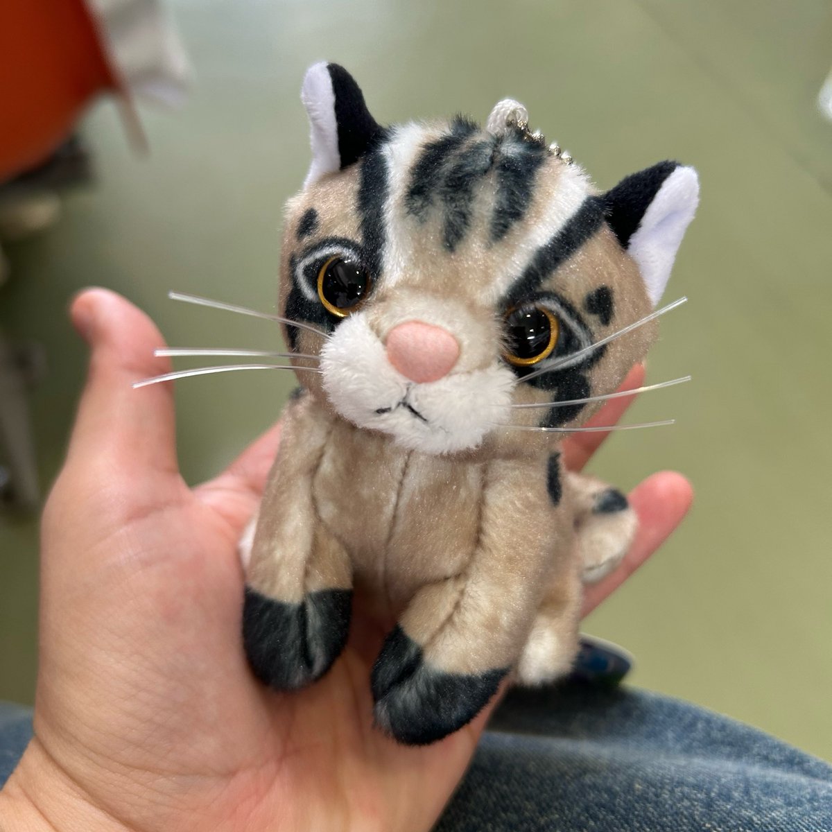 今からこの子に会いにいきます❤️