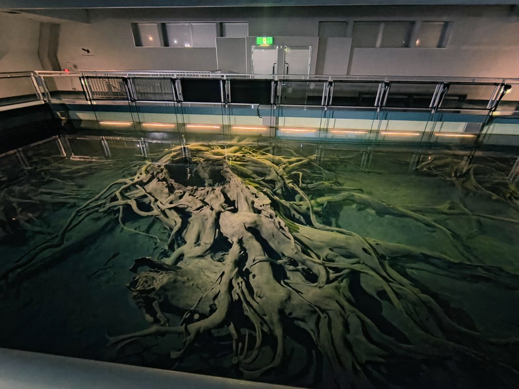 HelicalEngineer's tweet photo. 日本海はやはり素晴らしい。GWトリップ終わり！ https://t.co/bcrTq3sHWr