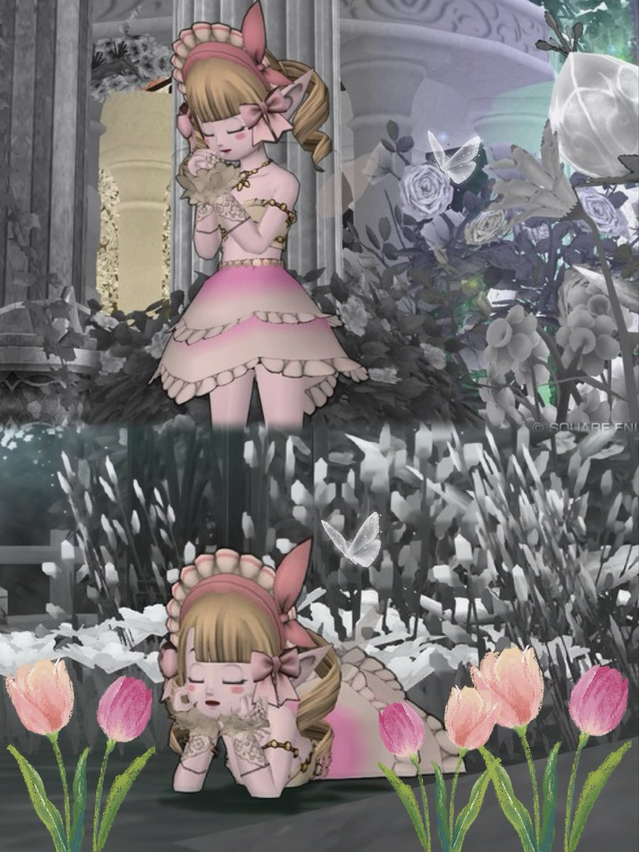 𝗆𝗂𝗂𝗍𝖺𝗇 .°ʚ ୨୧ ɞ°. tweet media