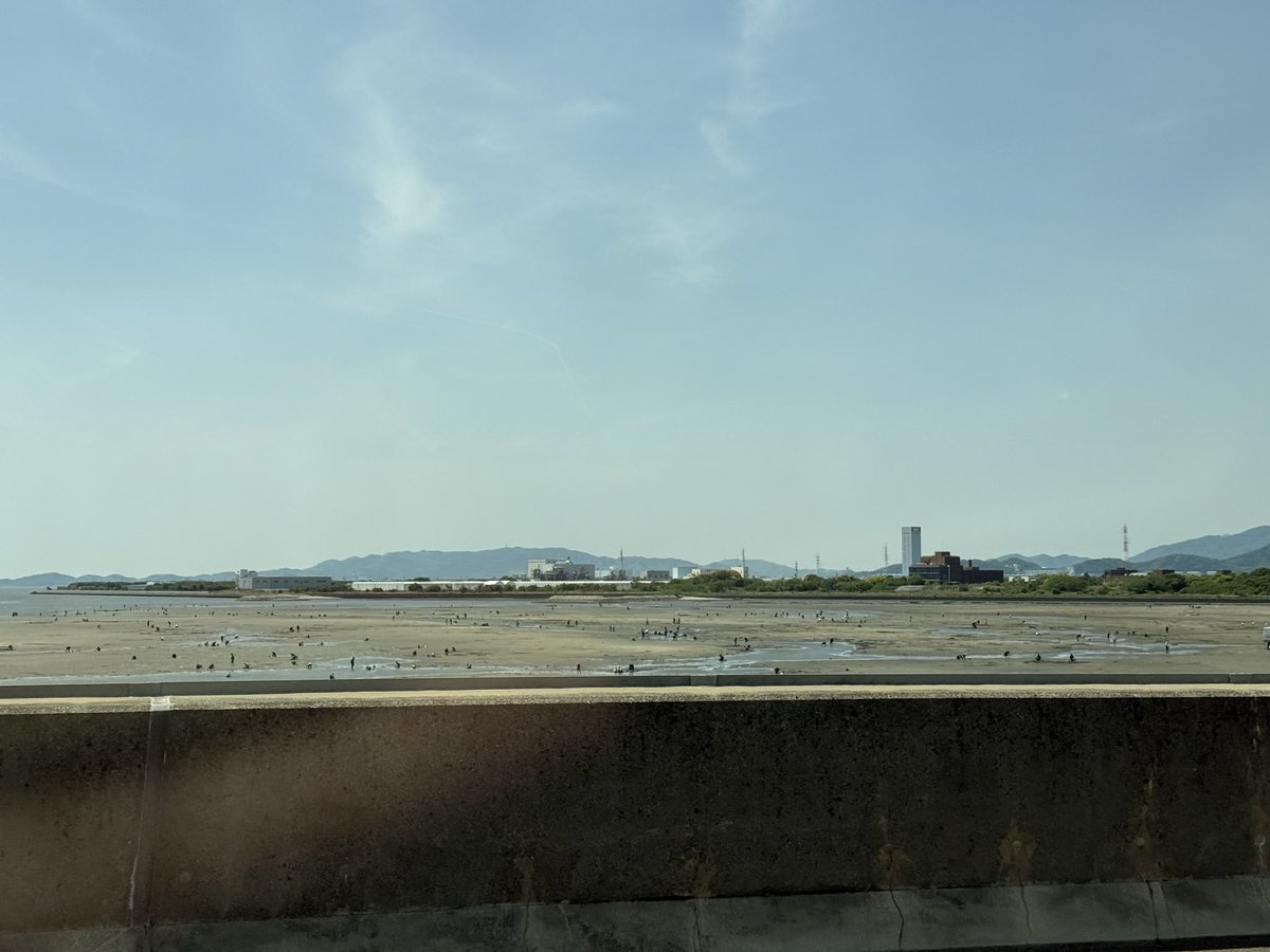 スナオ tweet media