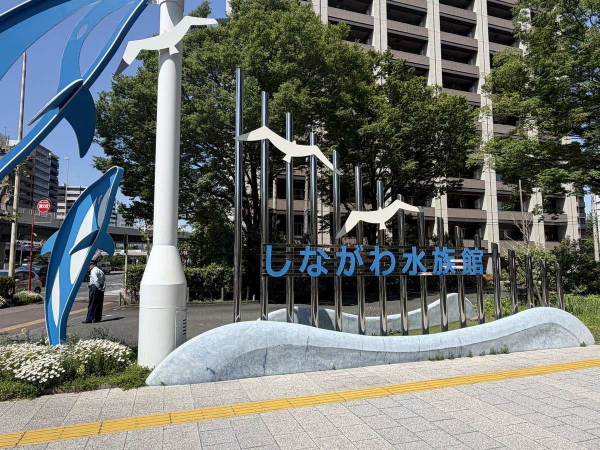 Kanata。 tweet media