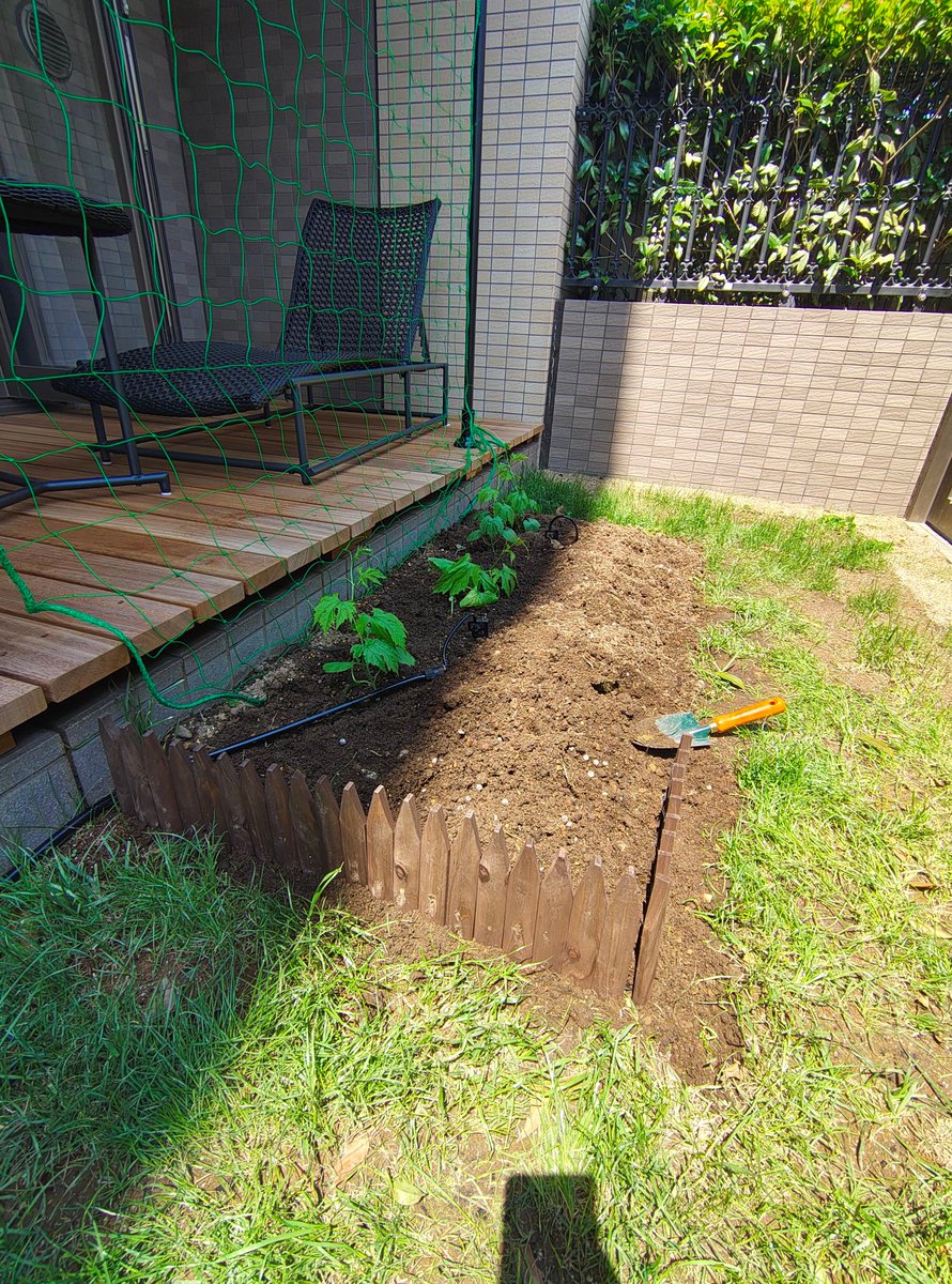kaattosh's tweet photo. 植物の手入れも仕入営業マンの業務です。 https://t.co/iVxA14U9gZ