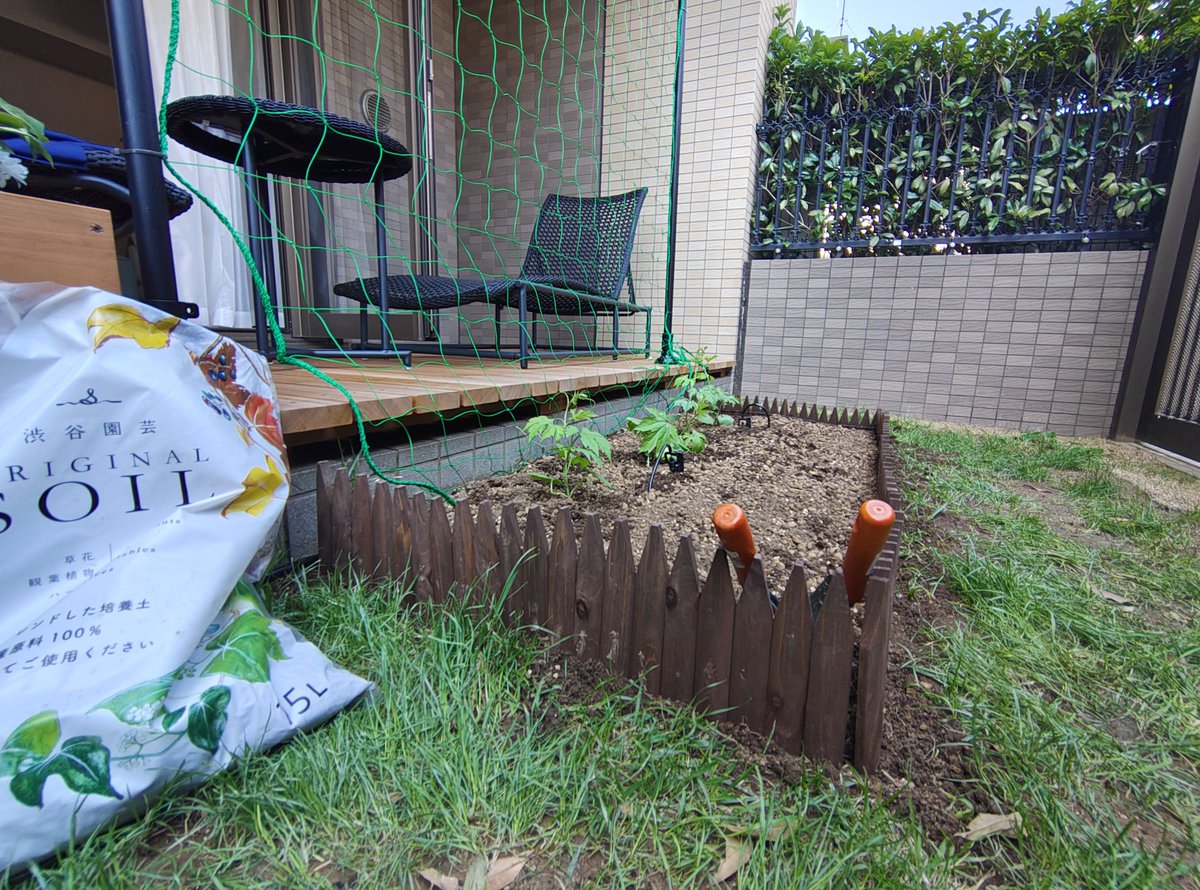 kaattosh's tweet photo. 植物の手入れも仕入営業マンの業務です。 https://t.co/iVxA14U9gZ