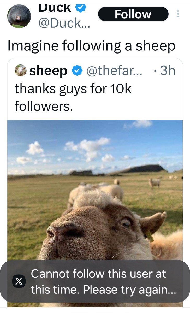 Dizzyme tweet media