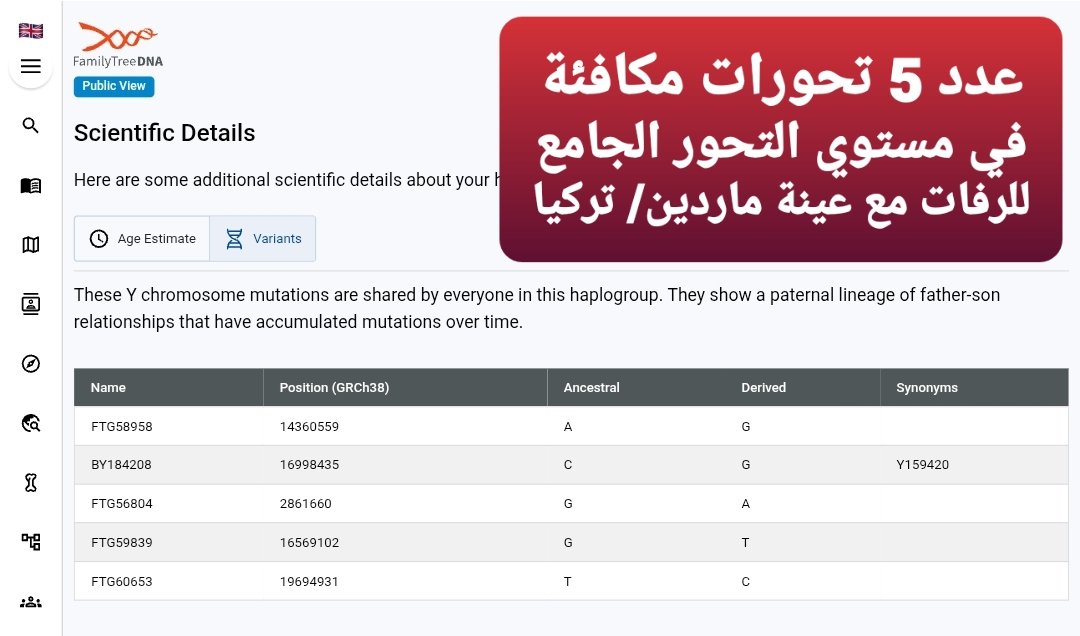 ahmed.benamsedeer tweet media