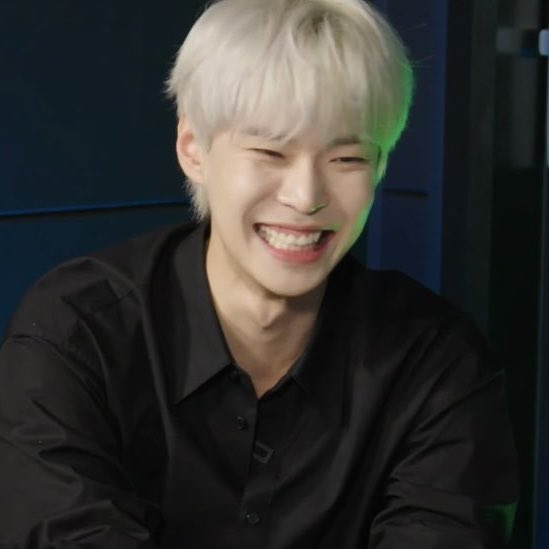 또또 tweet media