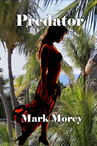 Mark Morey tweet media