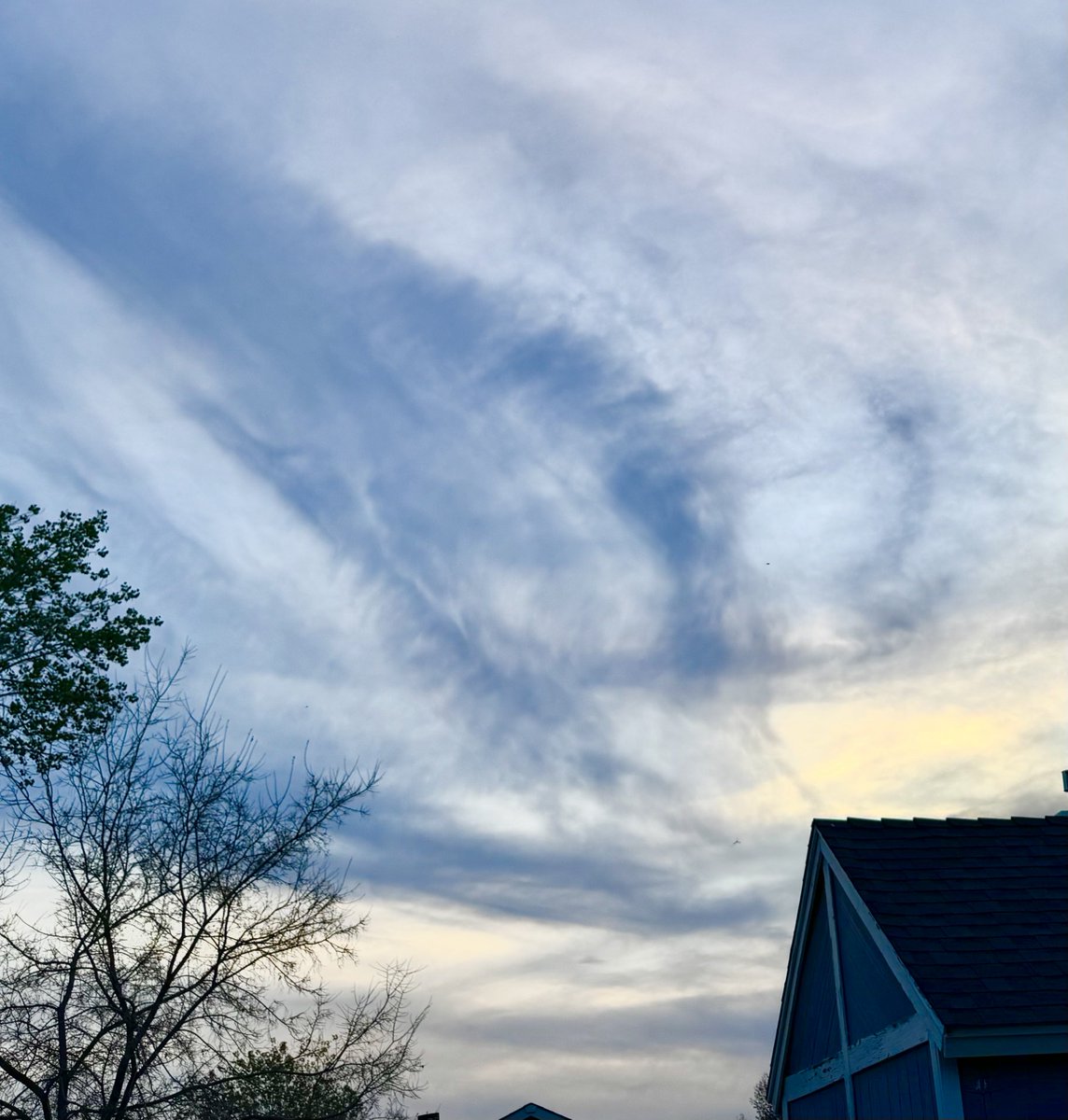 jonimarielew's tweet image. Sunset. #Nevada #desert #skies #clouds #sunset #trees