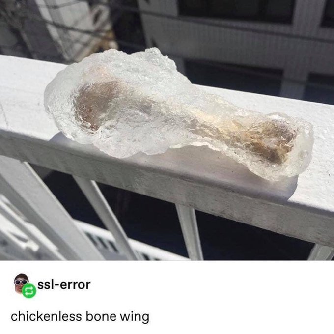 i like food tweet media