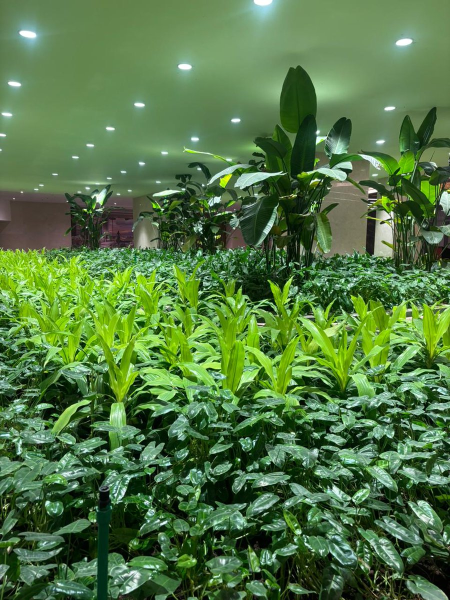 NexselT's tweet photo. White vs Pink grow lights? The real difference is not the color you see — it’s the spectrum plants receive.

Best results come from balancing plant growth, human comfort, light intensity &amp; photoperiod. 

#GrowLights #NexselTech https://t.co/NhbjUORPpX