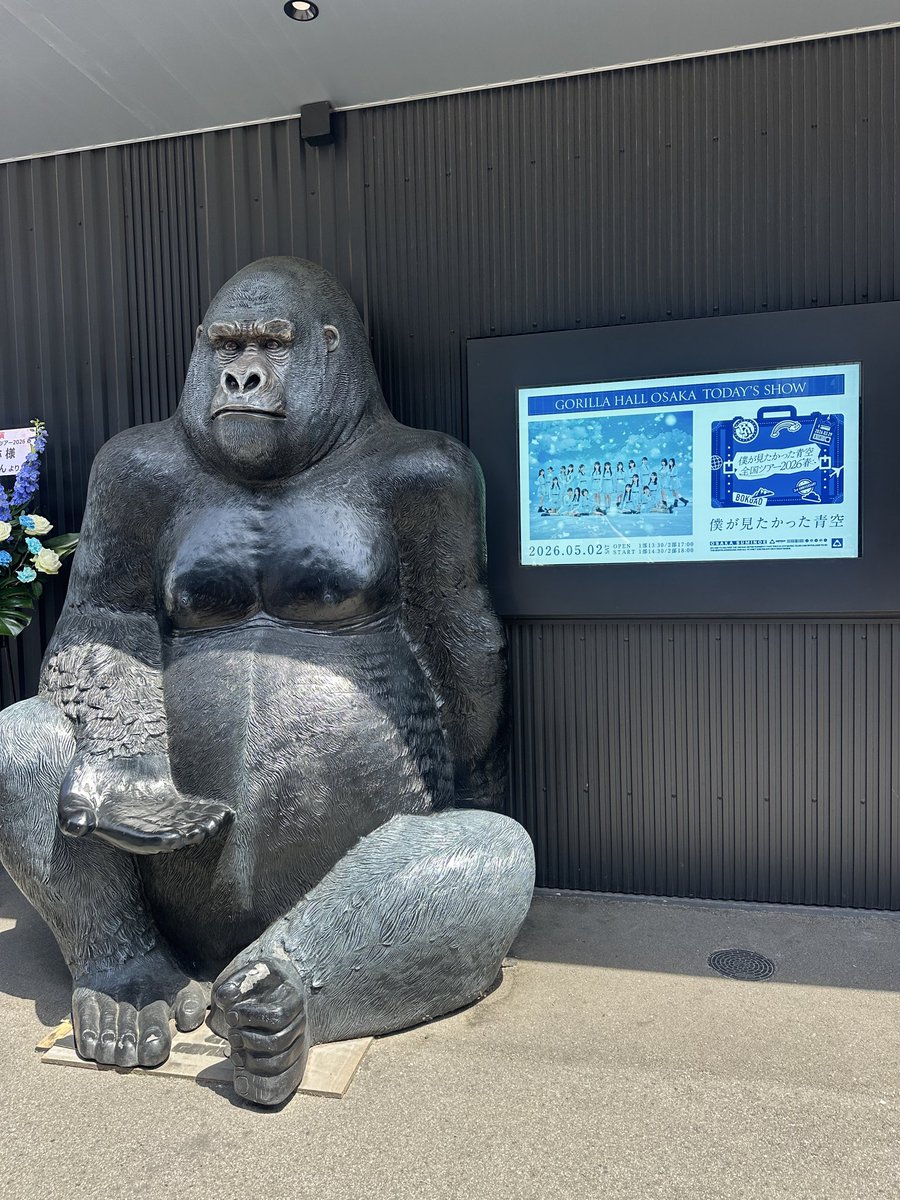 ライカ tweet media