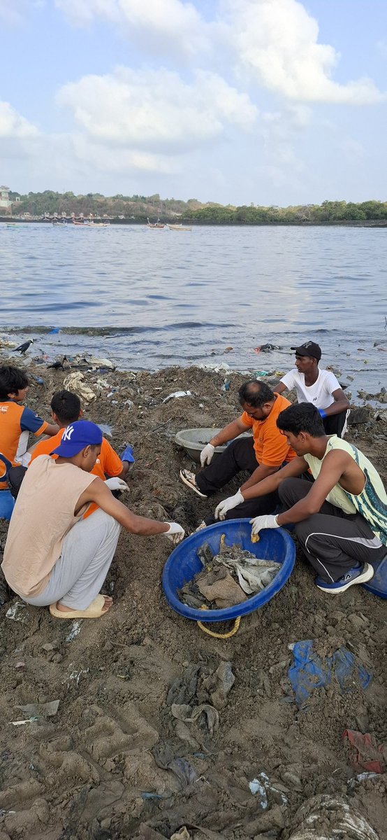 AfrozShah1's tweet photo. Week 581.

Early morning .

Versova beach cleanup .

8000 kgs marine debris plucked out . https://t.co/OPSlKbNGQk