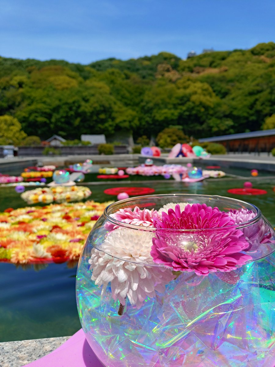 松山城【公式】 tweet media
