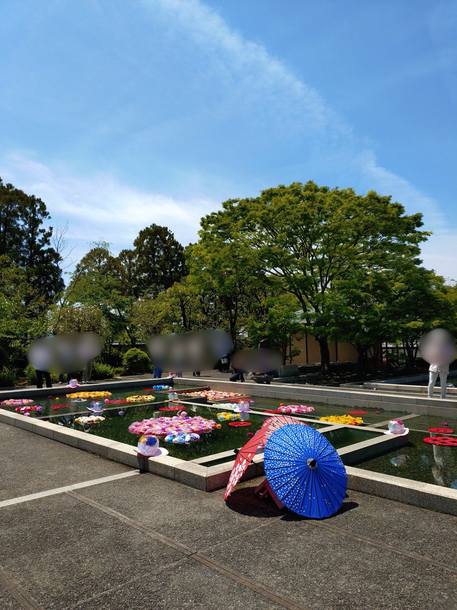 松山城【公式】 tweet media
