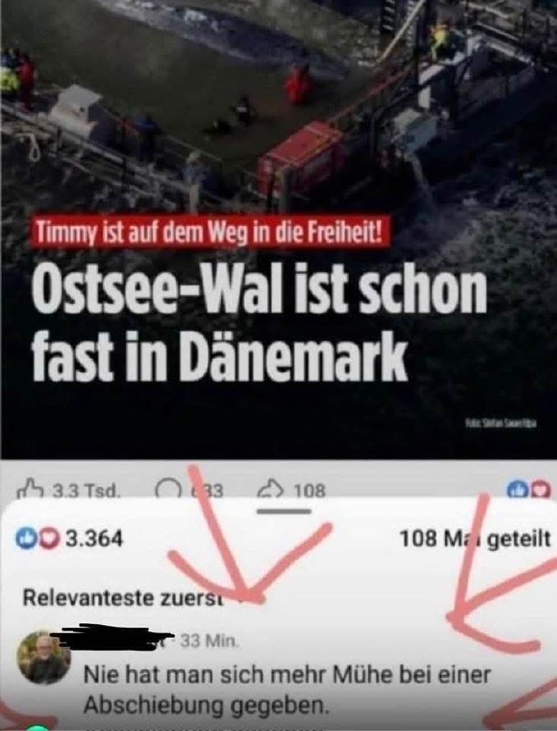 Maik Pittel tweet media