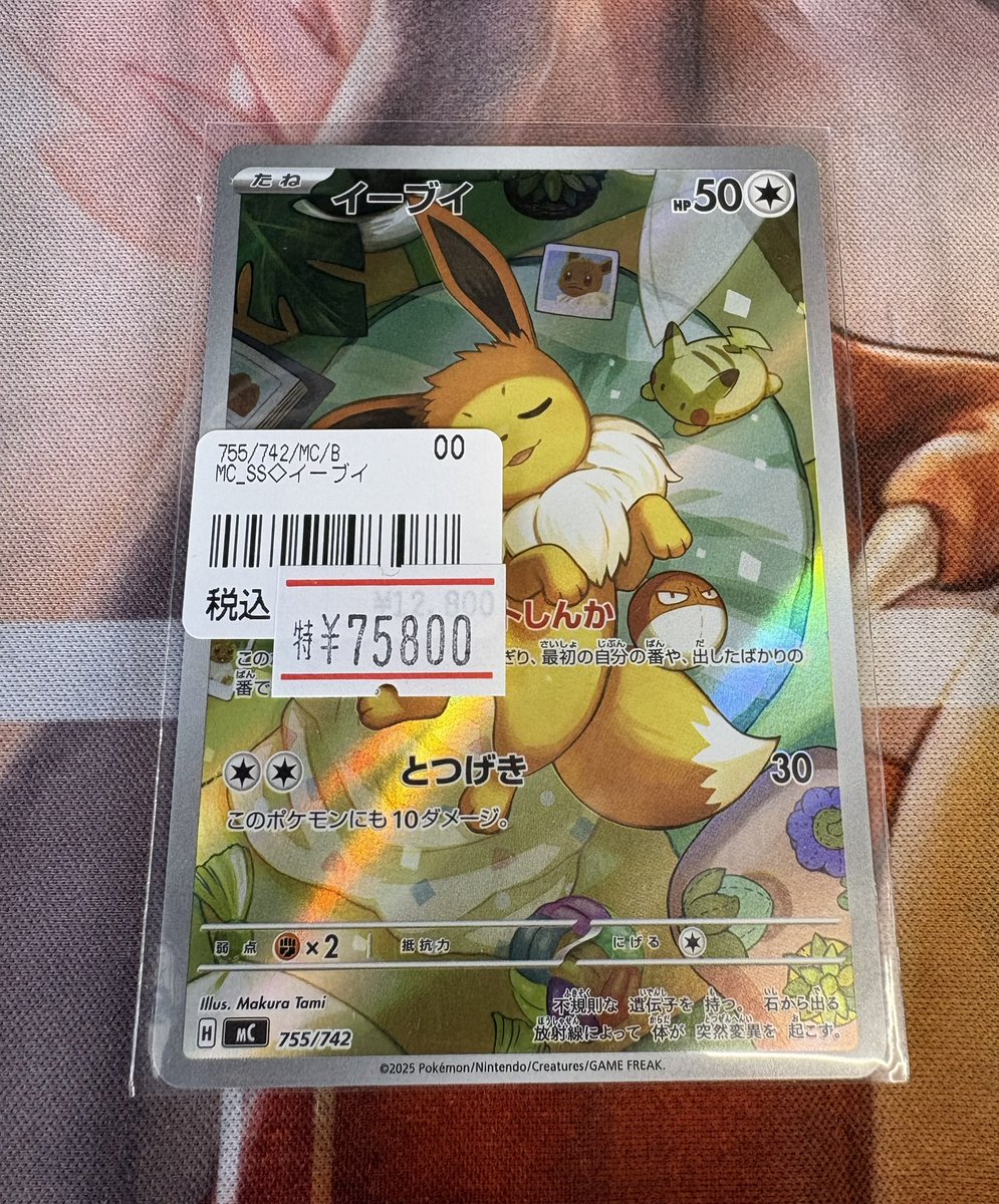 🔥ポケカ入荷速報🔥】 この寝顔はプライスレス🔥🔥🔥 🧸イーブイ AR