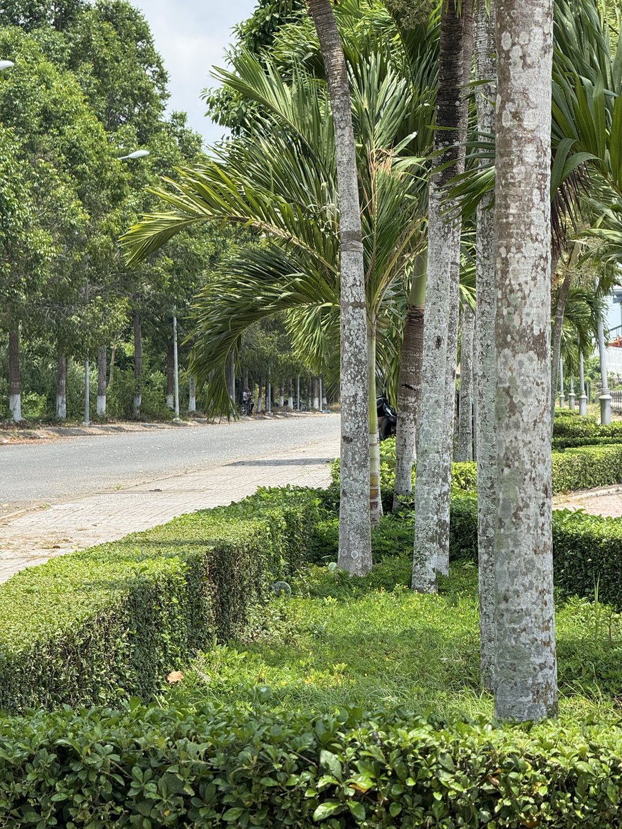 Outdoor64VinhLong tweet media