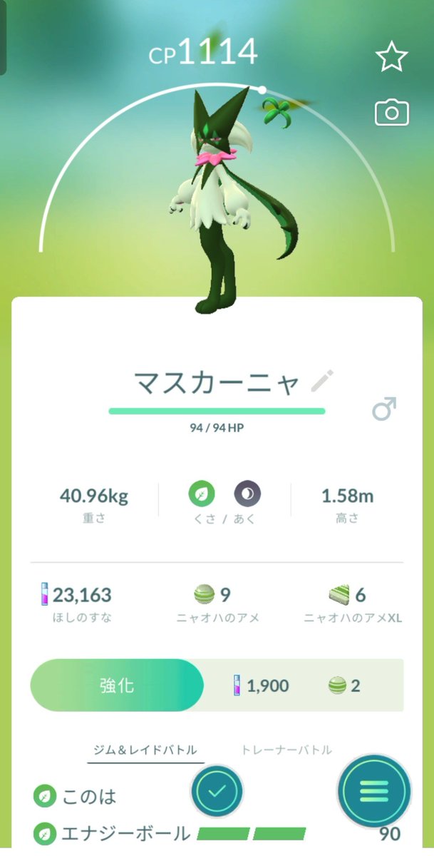 vfc9NpjOHR39899's tweet image. ようやくマスカーニャへ✨️

＃pokemonGO
＃ポケモンGO
＃相互フォロー