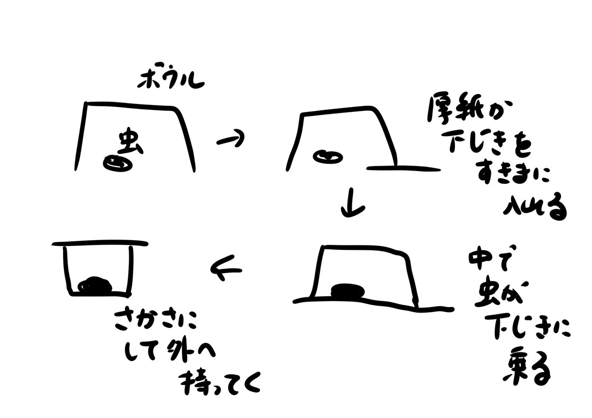 フェイ🧷 tweet media
