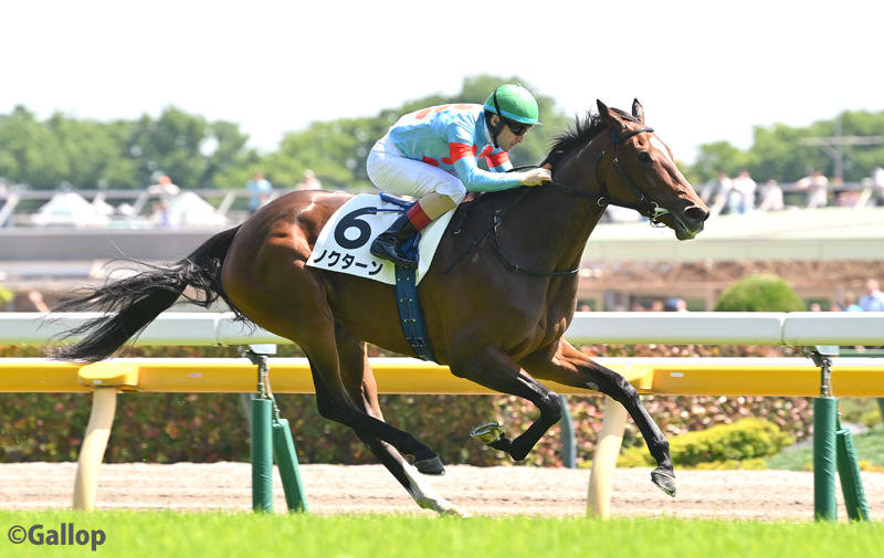 gallop_keiba's tweet photo. 東京6Rは1番人気 #ノクターン が勝利！ 単勝1.6倍に支持に応えました！
#クリストフ・ルメール 騎手は本日3勝目！ https://t.co/ncpn18N9uh