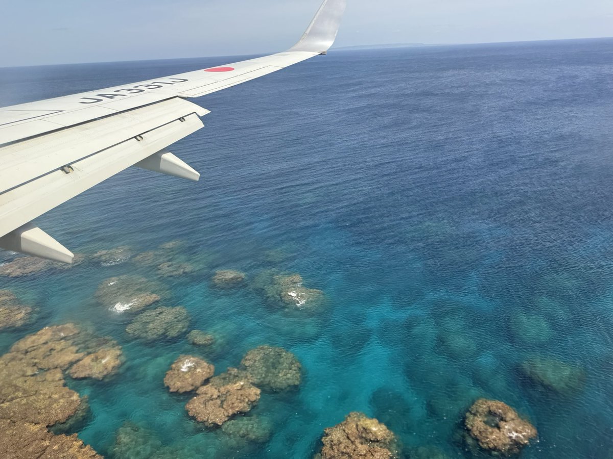 mikuru22 tweet media