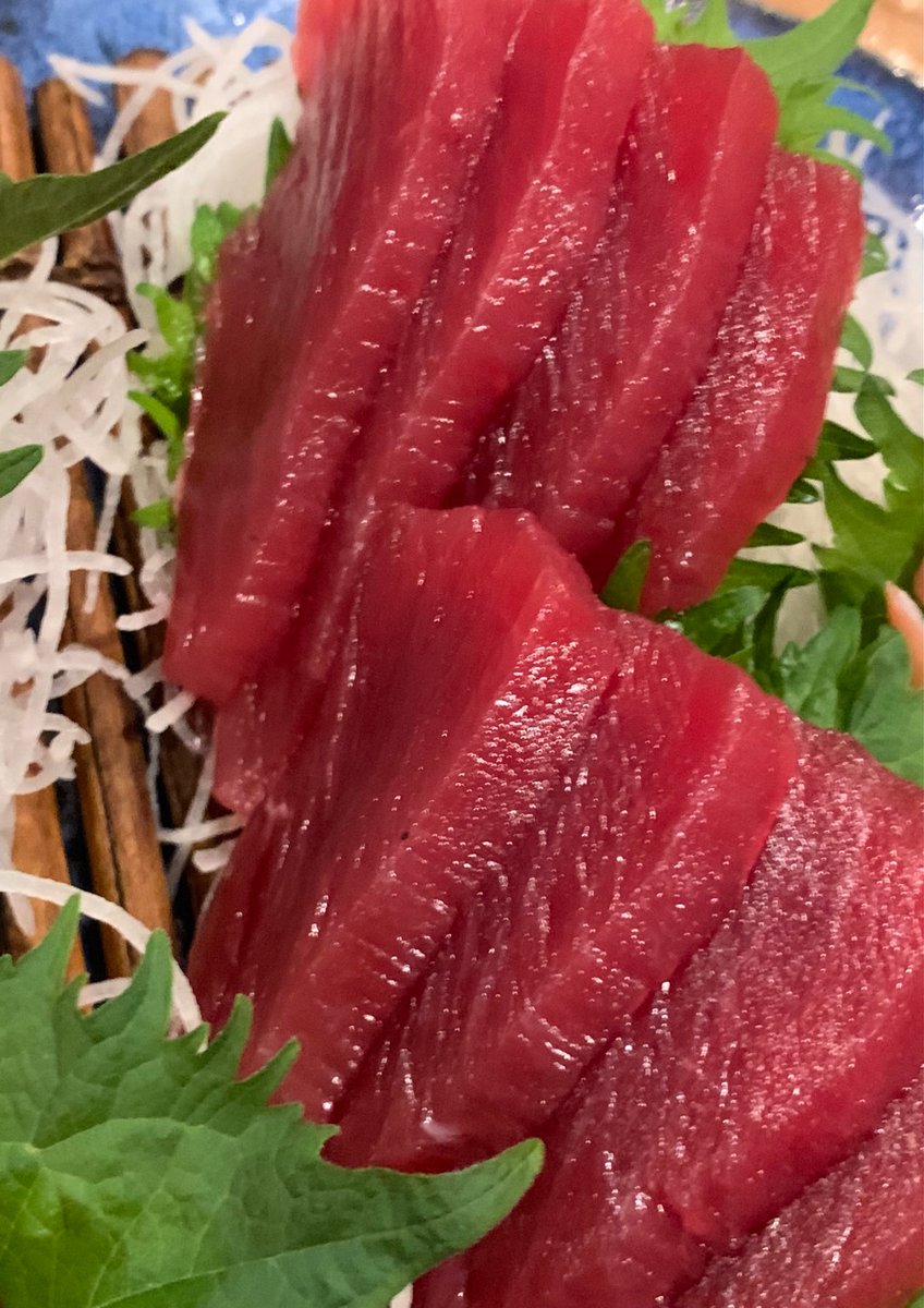 菅原茂（気仙沼市長） tweet media