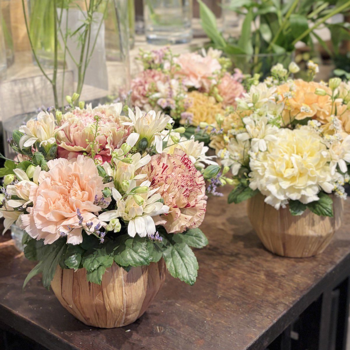 takpj3's tweet image. カタリ(トキワ街)の #HappySpring
✿母の日の贈り物に…カーネーションの花束
5月10日は母の日。今年は少し変わったカーネーションを贈ってみませんか？県産のカーネーションもあり、その中でも小さい「ミニティアラ」は香川県で生まれた品種。もちろん、予算に合わせて花束を作ることも可能です。