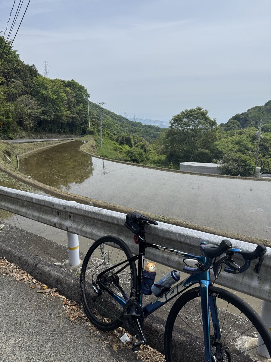 mossa708's tweet photo. 季節柄山道はホーミング芋虫多くてヒェッてなるがホームコースは割と拓けてて優秀 https://t.co/ZWsCOSITiI