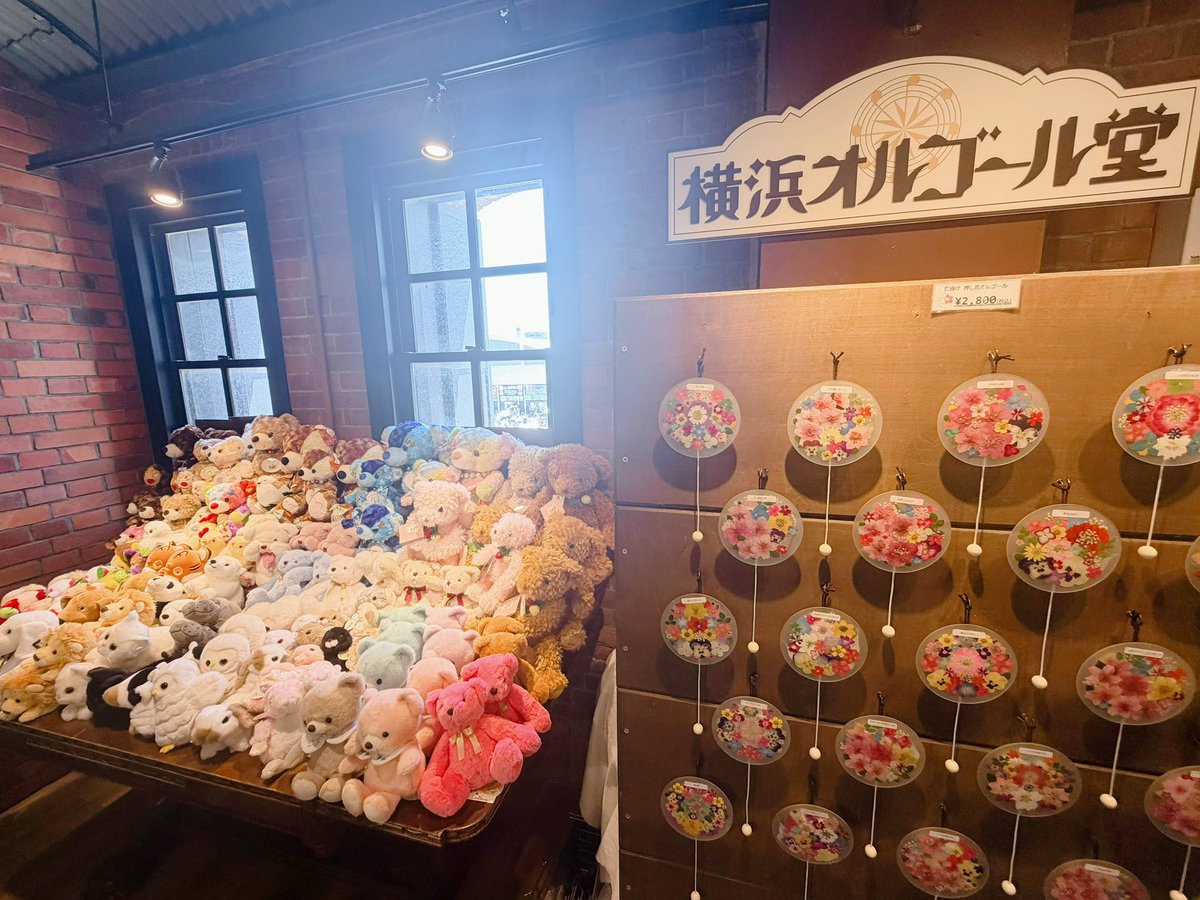 💛みなちぇ🧡 tweet media