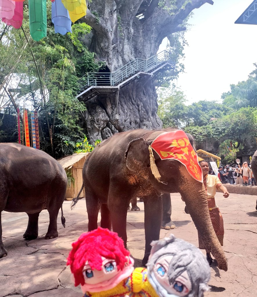 kibunya_0's tweet photo. INバンコク🇹🇭 https://t.co/5sfVZBGXYG