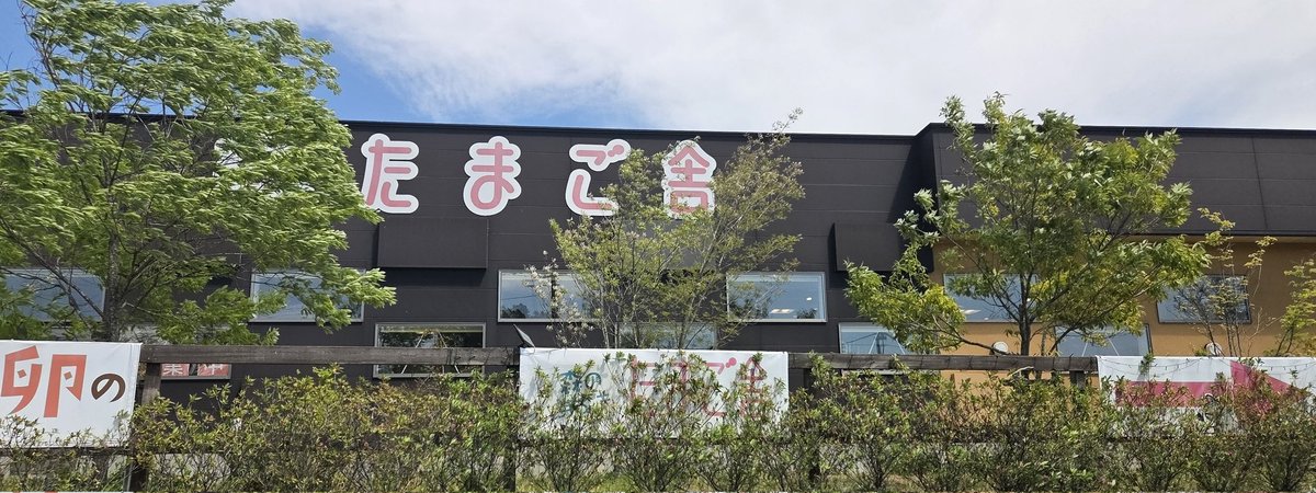 モマム tweet media