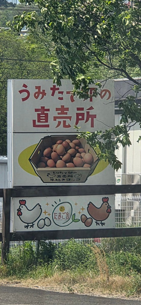 モマム tweet media