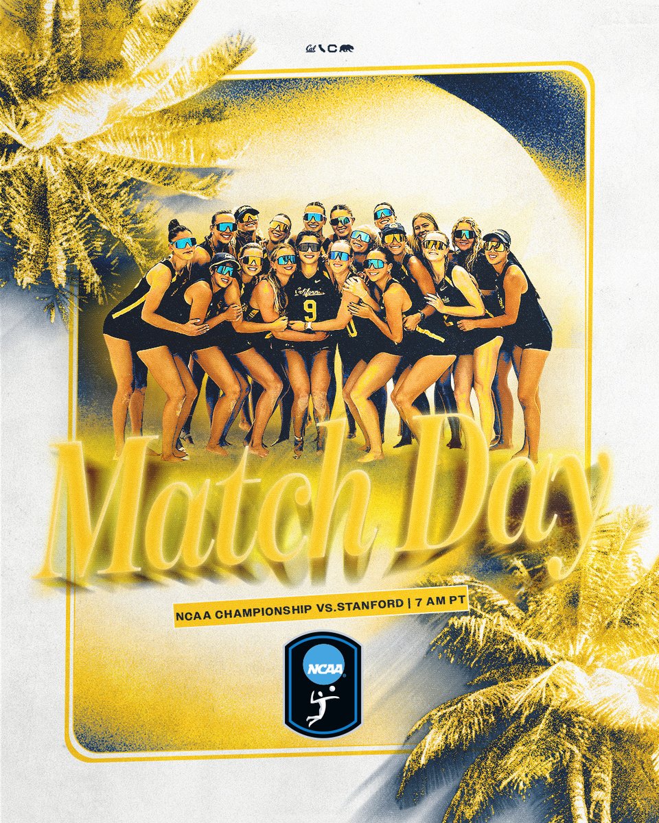 Cal Beach Volleyball tweet media