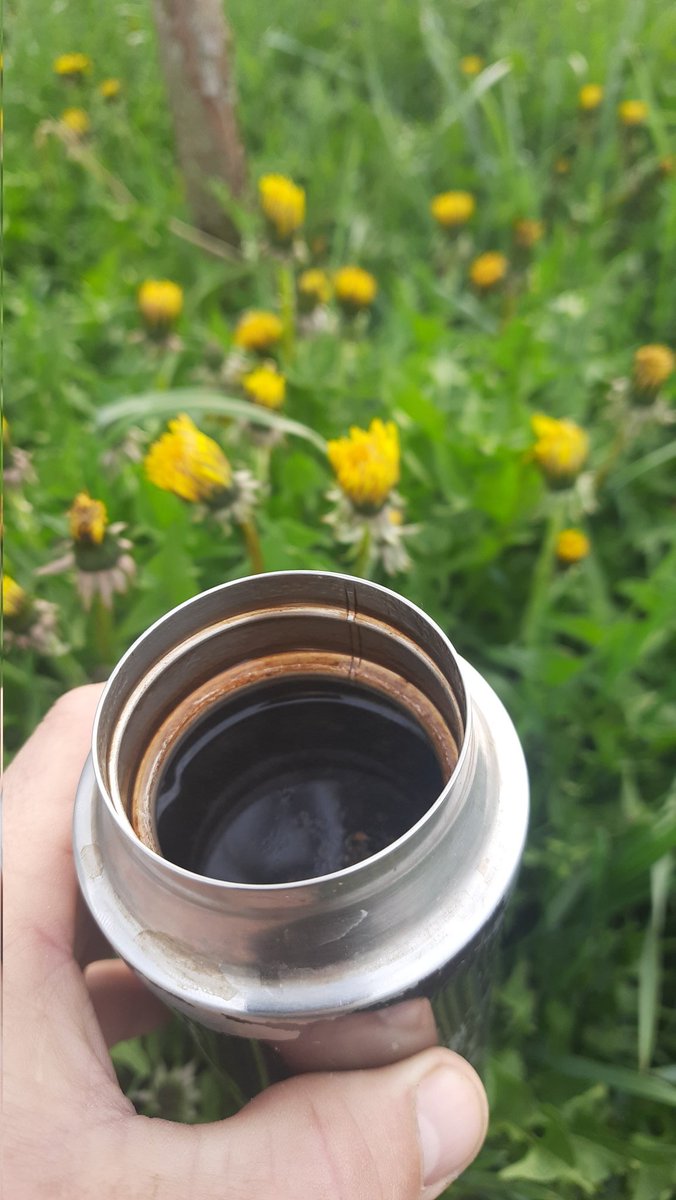 Ранку шановне твітерянство ✌️. Майте вдалий день та запашну каву. Всім 4.5.0. Окупантам смерть! Бережіть себе та своїх любих 💙💛