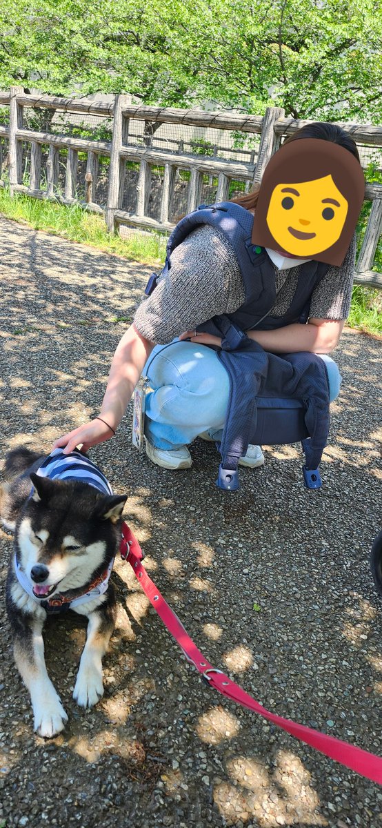9648genki's tweet photo. Twinsとお嫁チャンとお散歩に行ってきました🎶
暑かった〜🌞 https://t.co/EhMEVN5Cuy