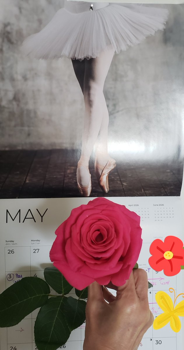 GenovevaUzunov1's tweet image. Welcome Magnificent, #Magical, Mindful, Memorable, Majestic, and Mirthful May, Birth Month of my Mom, Mental #Health Awareness Month, #Walking Month, and Strawberry Month! 🍓

“Mens sana in corpore sano”

Looking forward to joyful, #healthy walks with my sweetheart Lloyd!
