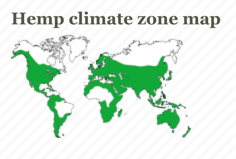 projectpeace's tweet image. While AI is a time-efficient tool for communicating swaths of information, it is imperfect, listing toward understatement. 

Combined essential environmental, agronomic, nutritional, therapeutic &amp;amp; industrial properties unique to #Cannabis makes it THE most valuable plant on Earth