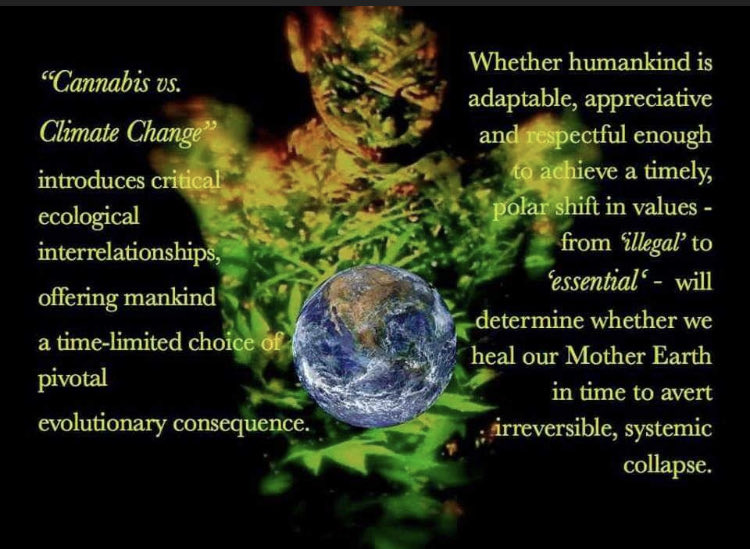 projectpeace's tweet image. While AI is a time-efficient tool for communicating swaths of information, it is imperfect, listing toward understatement. 

Combined essential environmental, agronomic, nutritional, therapeutic &amp;amp; industrial properties unique to #Cannabis makes it THE most valuable plant on Earth
