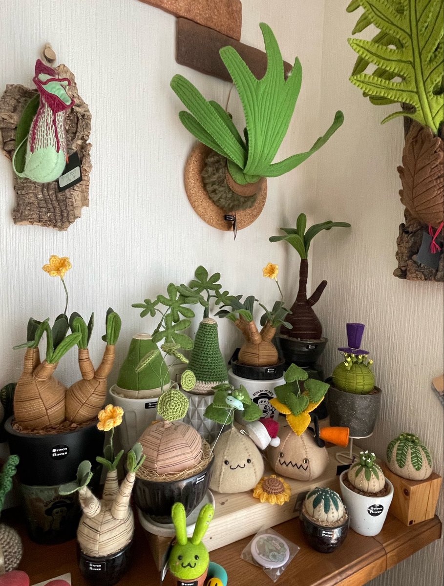 ブービィー(kuku)🌵の日常 tweet media
