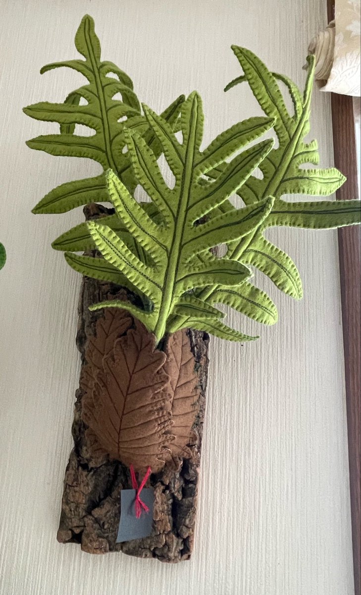 ブービィー(kuku)🌵の日常 tweet media