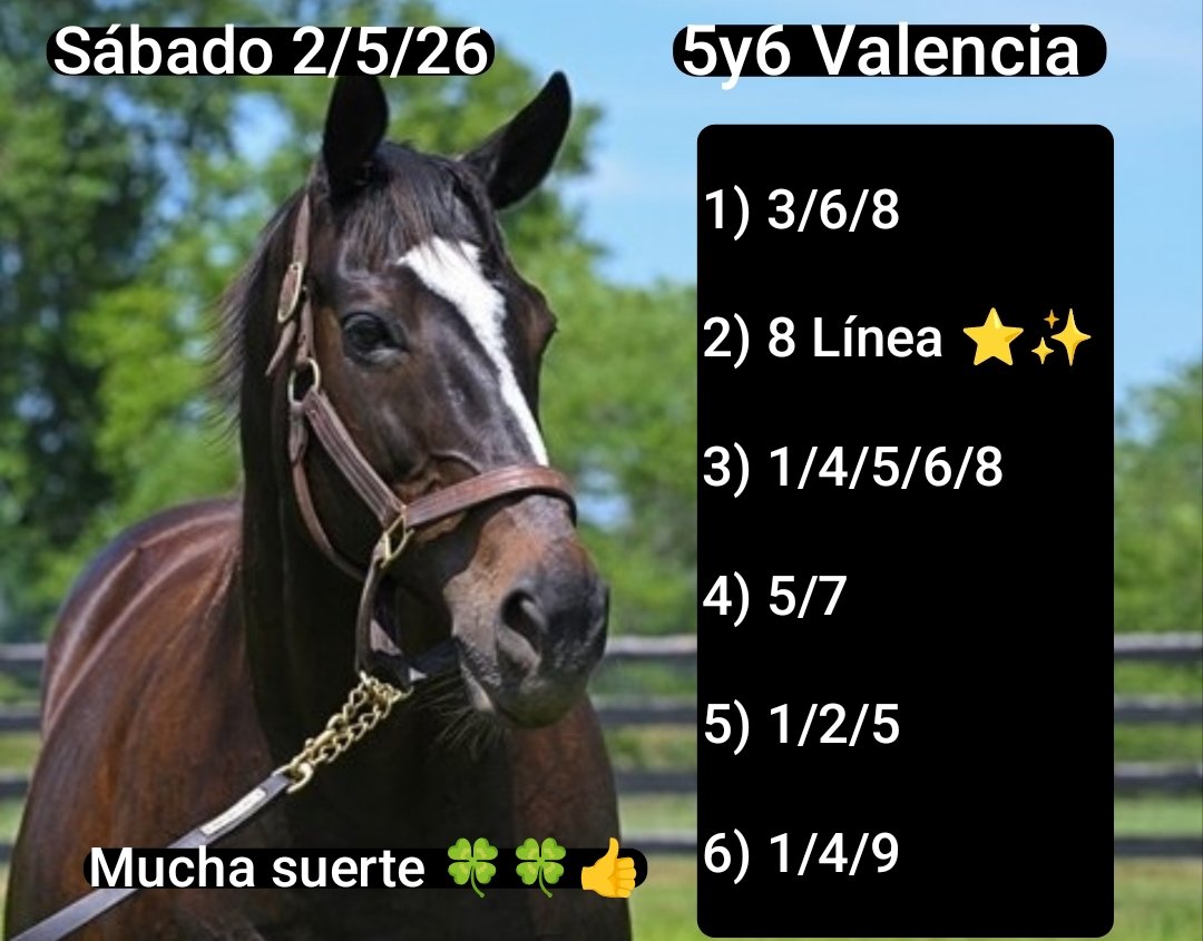 MUCHA SUERTE!!!🍀✨⭐