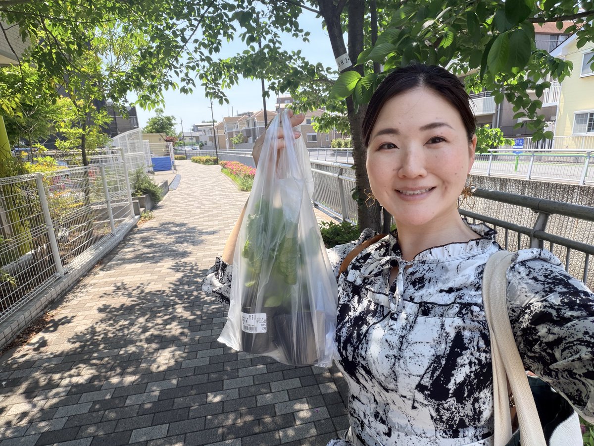 mayuka_soprano's tweet photo. 今日のコレペティレッスンの帰り道。
シソの苗をふた株、お迎えしました🌱
今年も元気に��ちますように。
さて、いよいよ明後日は『オペラ大好き』コンサート✨
演じるのは、まっすぐで清らかな愛に生きるジルダ。
彼女の心に寄り添い、精一杯歌い上げたいと思います！
出演者一同お待ちしております。 https://t.co/houii3px2F