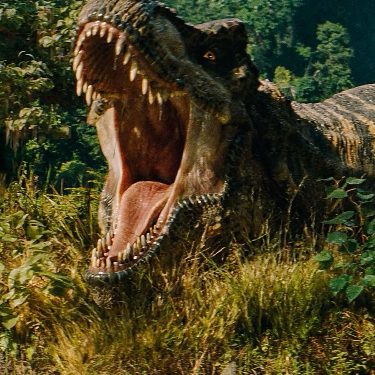 T-Rex tweet media
