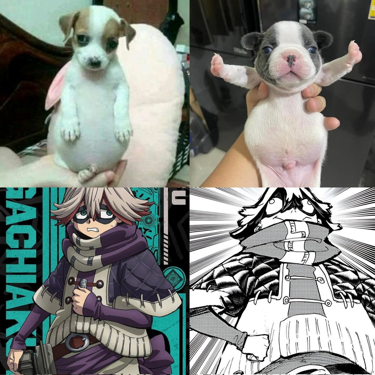 Hallow_day's tweet photo. Fu makes me laugh so much because he looks like a fat dog 😭😭😭😭😭💛 https://t.co/34zECR3Ilf